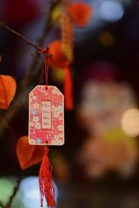  Khu vườn giải trí 